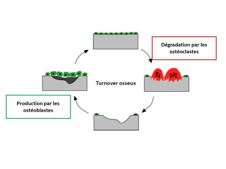 ﻿Ces fractures de fatigue qui nous épuisent… My natural Therapy